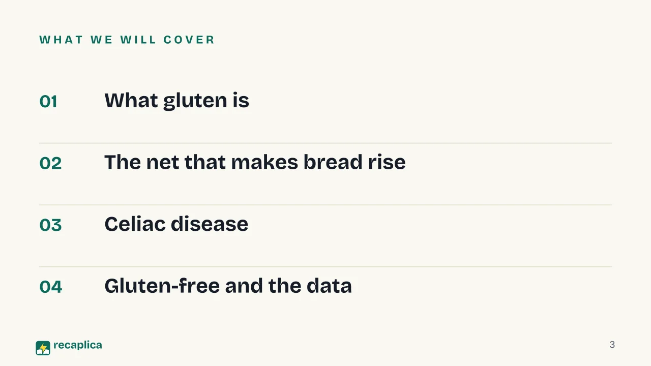 Slide 3 of the presentation on Gluten: What we will cover
