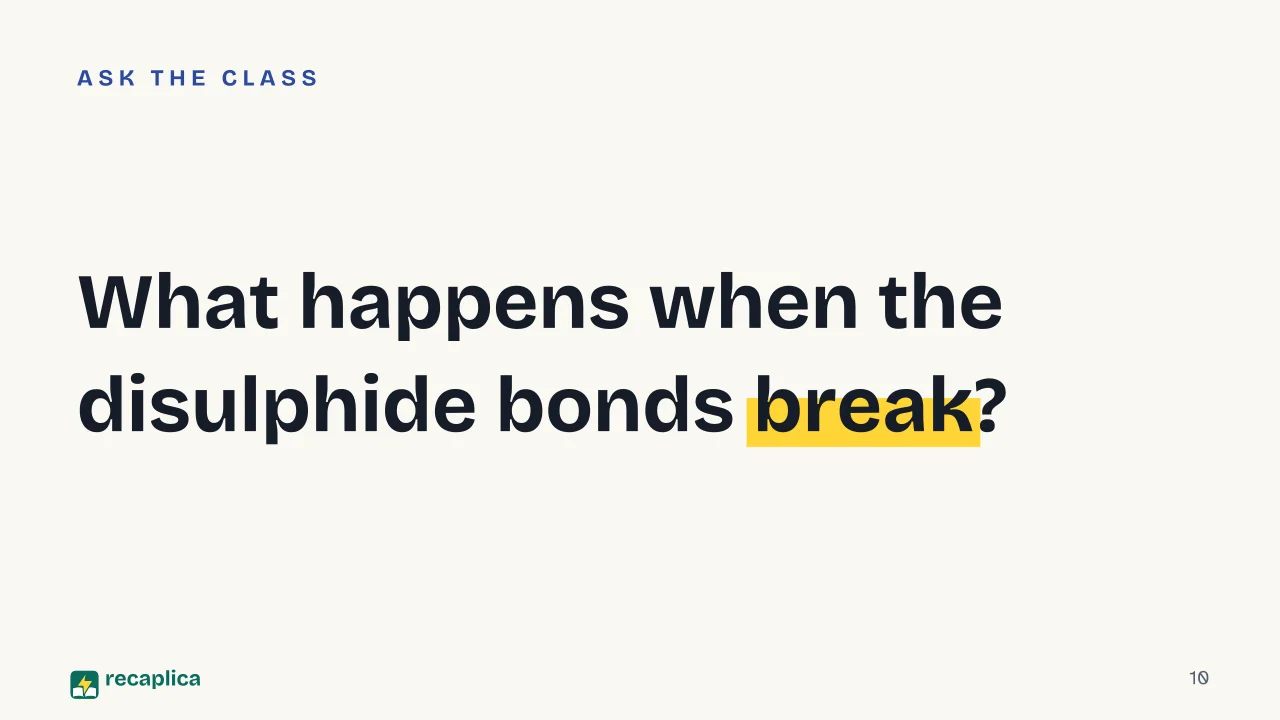 Slide 10 of the presentation on Gluten: What happens when the disulphide bonds break?