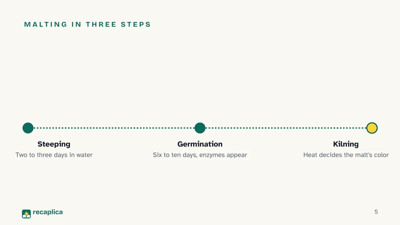 Slide 5 of the presentation on How Beer Is Made: Malting in three steps
