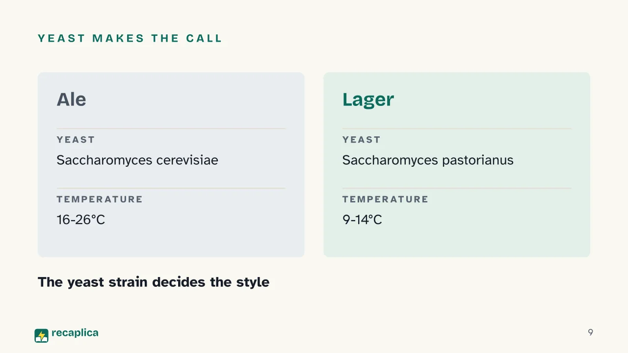 Slide 9 of the presentation on How Beer Is Made: Yeast makes the call