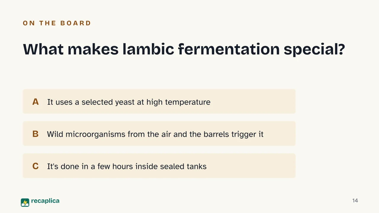 Slide 14 of the presentation on How Beer Is Made: What makes lambic fermentation special?