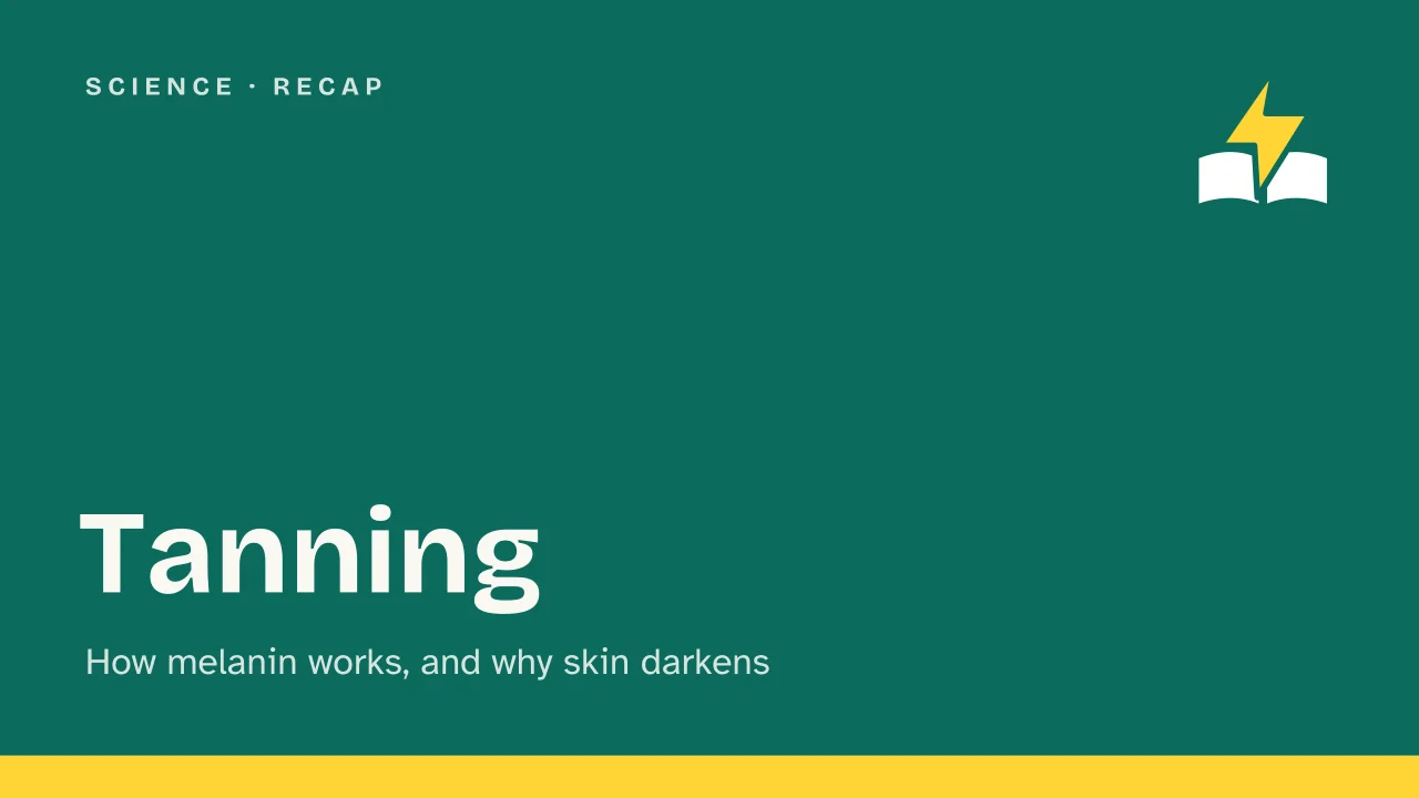 Slide 1 of the presentation on How Tanning Works: Tanning