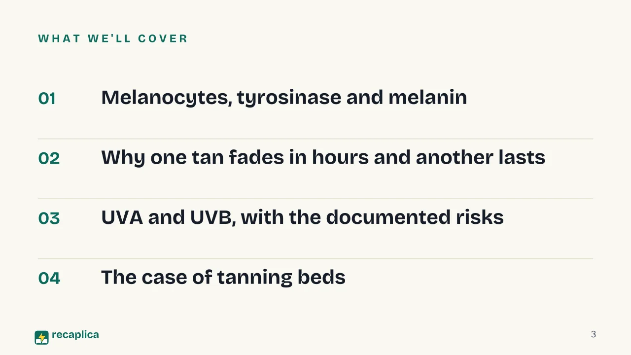 Slide 3 of the presentation on How Tanning Works: What we'll cover