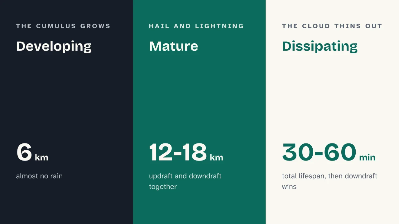 Slide 7 of the presentation on How Thunderstorms Form: Developing · Mature · Dissipating
