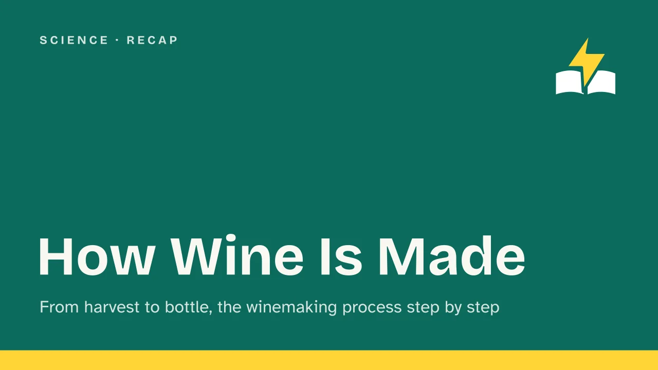 Slide 1 of the presentation on How Wine Is Made: How Wine Is Made
