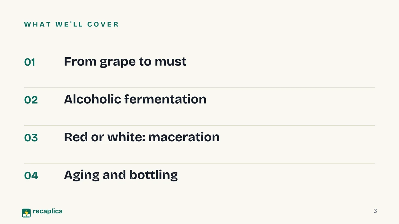 Slide 3 of the presentation on How Wine Is Made: What we'll cover