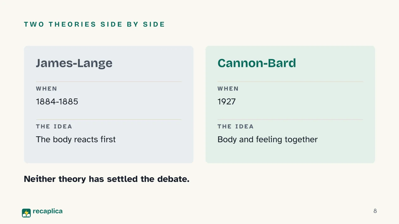 Slide 8 of the presentation on Human emotions: Two theories side by side