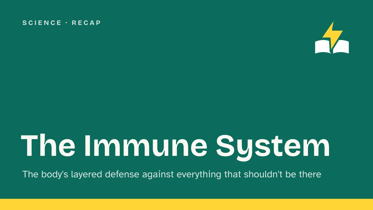 Slide 1 of the presentation on How the Immune System Works: The Immune System