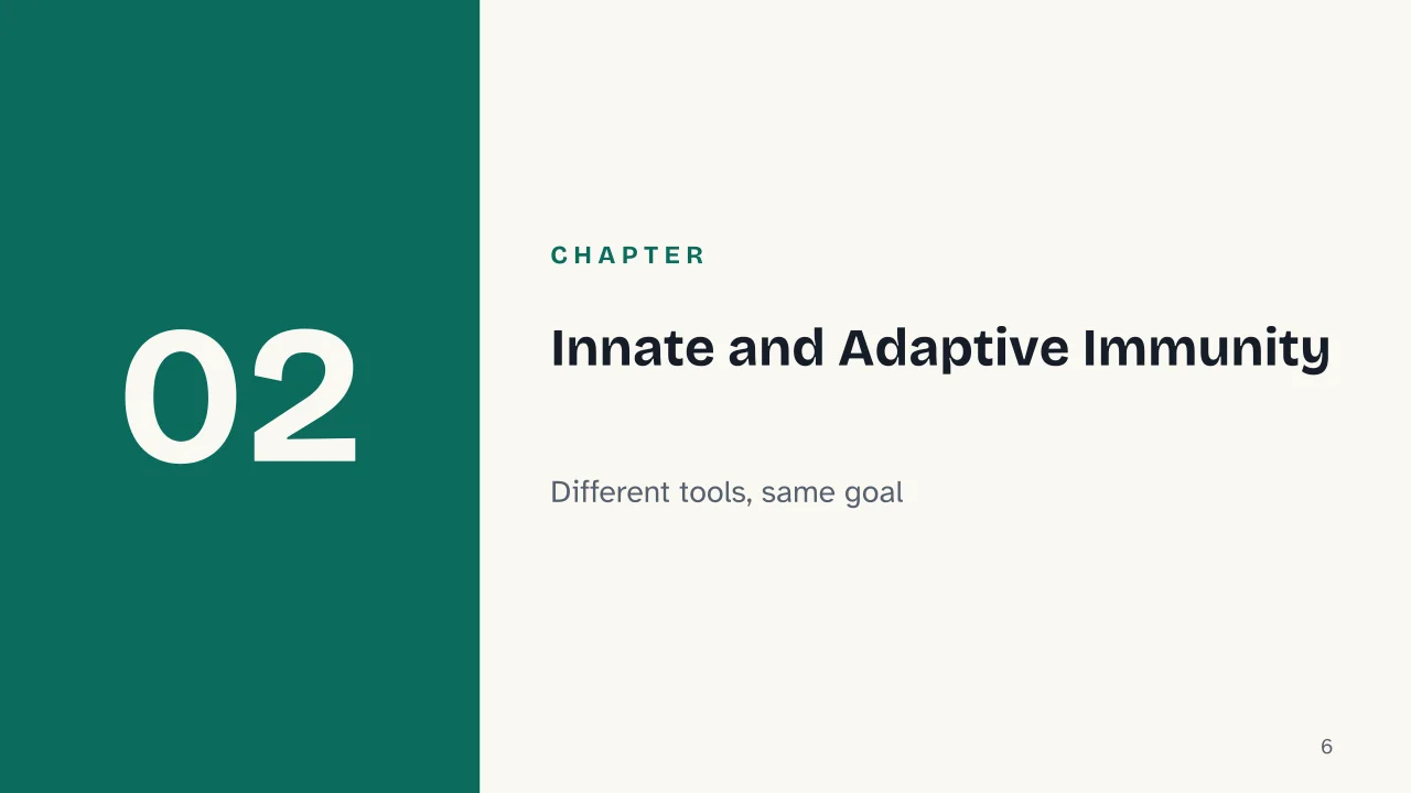 Slide 6 of the presentation on How the Immune System Works: Chapter 02: Innate and Adaptive Immunity