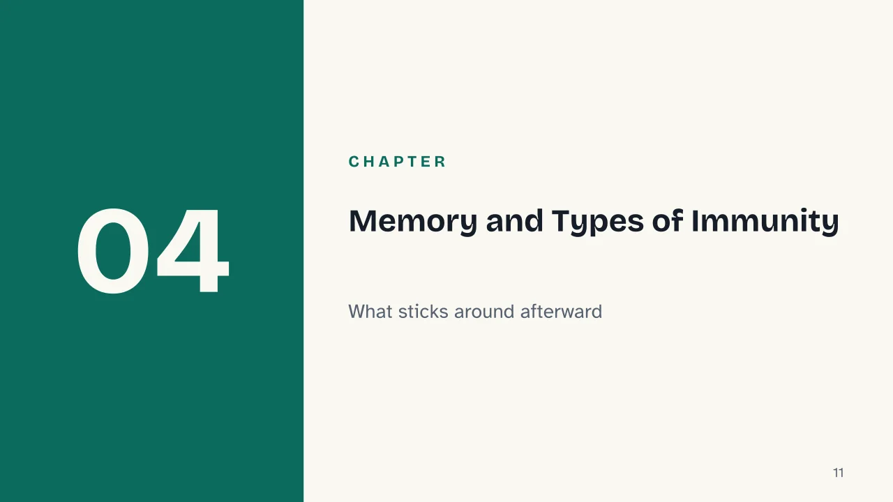 Slide 11 of the presentation on How the Immune System Works: Chapter 04: Memory and Types of Immunity