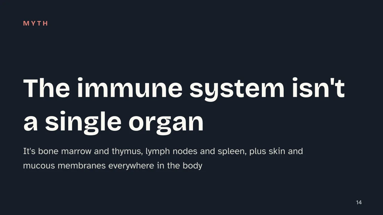 Slide 14 of the presentation on How the Immune System Works: The immune system isn't a single organ