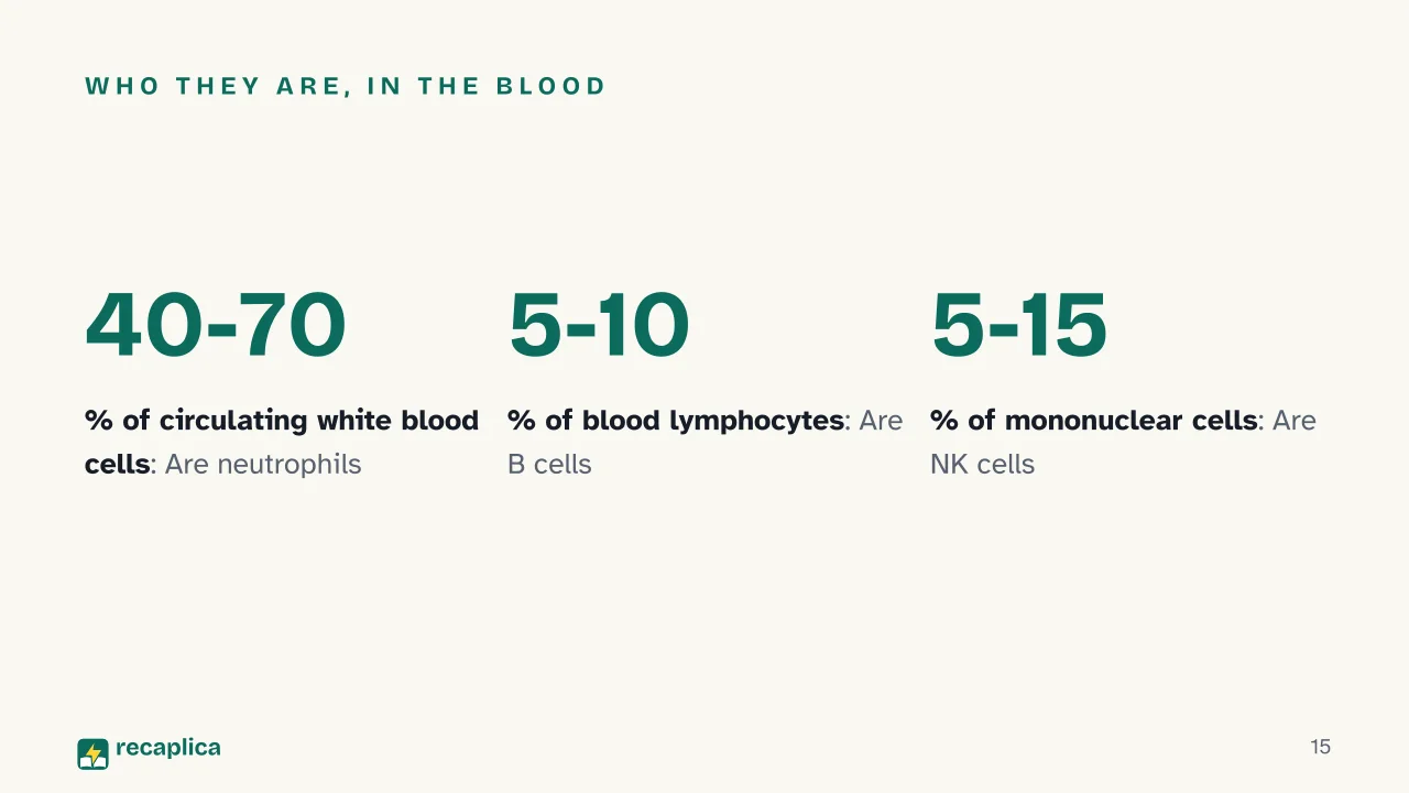 Slide 15 of the presentation on How the Immune System Works: Who they are, in the blood