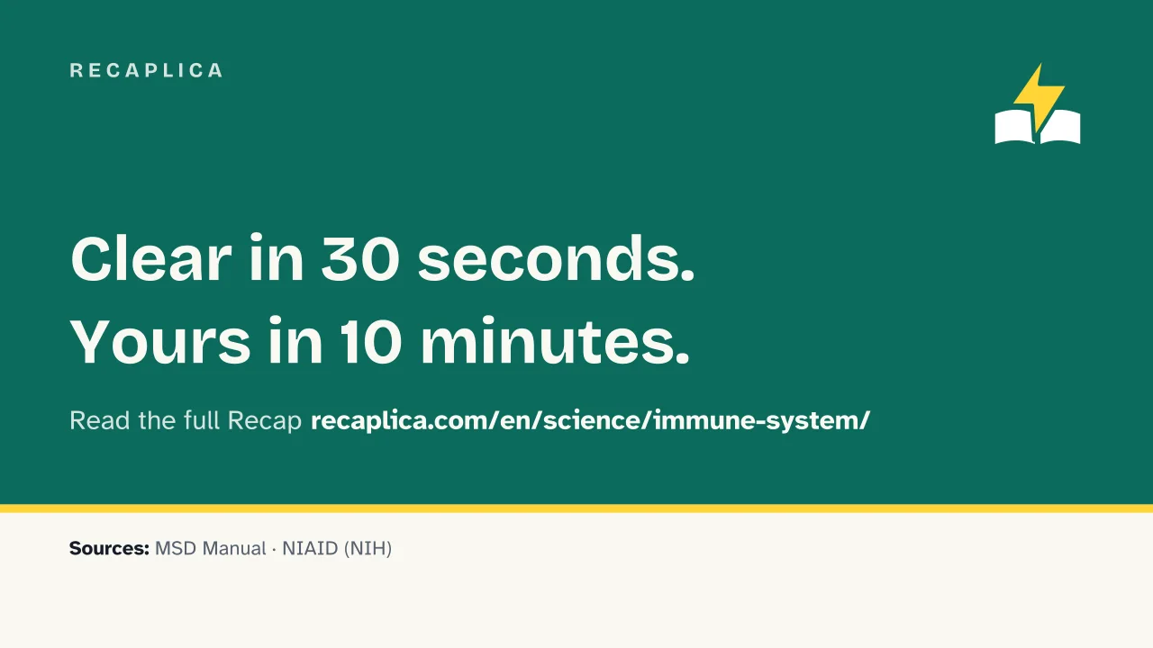 Slide 17 of the presentation on How the Immune System Works: Recaplica