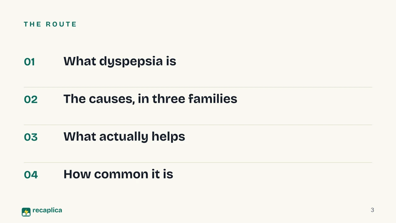 Slide 3 of the presentation on Indigestion Remedies: The route