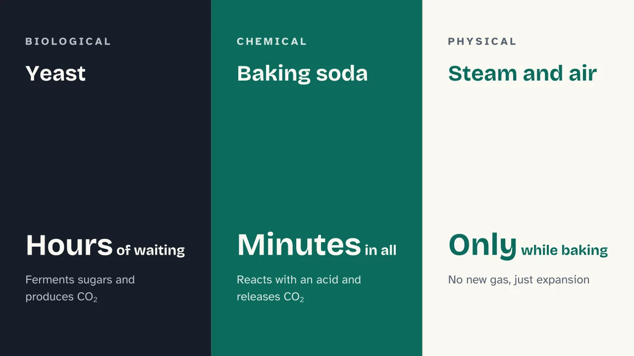 Slide 8 of the presentation on Leavening: Yeast · Baking soda · Steam and air