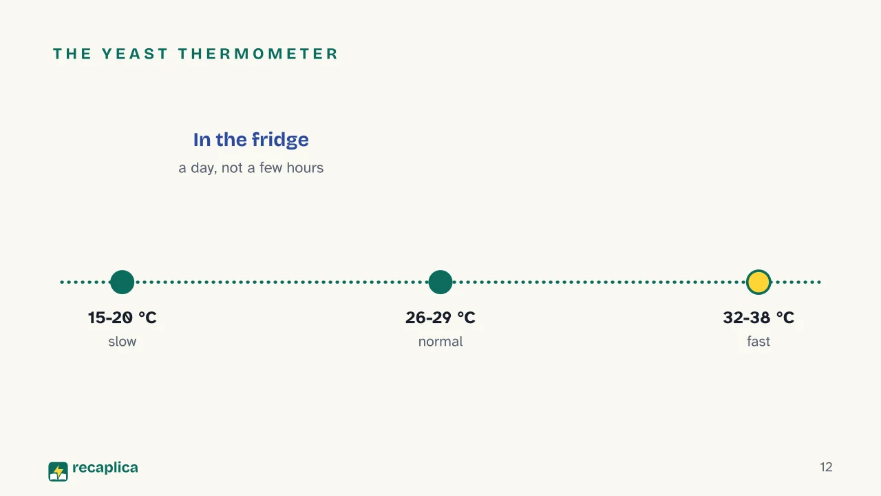 Slide 12 of the presentation on Leavening: The yeast thermometer