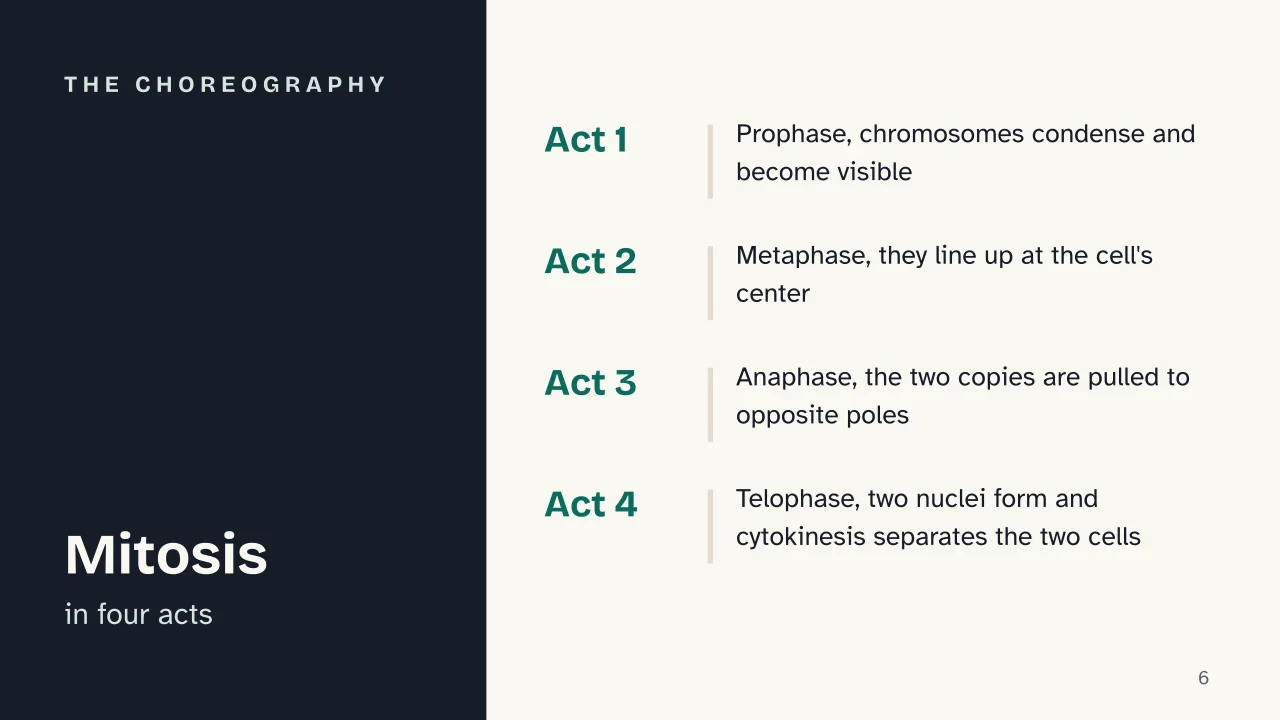 Slide 6 of the presentation on Mitosis vs Meiosis: The choreography