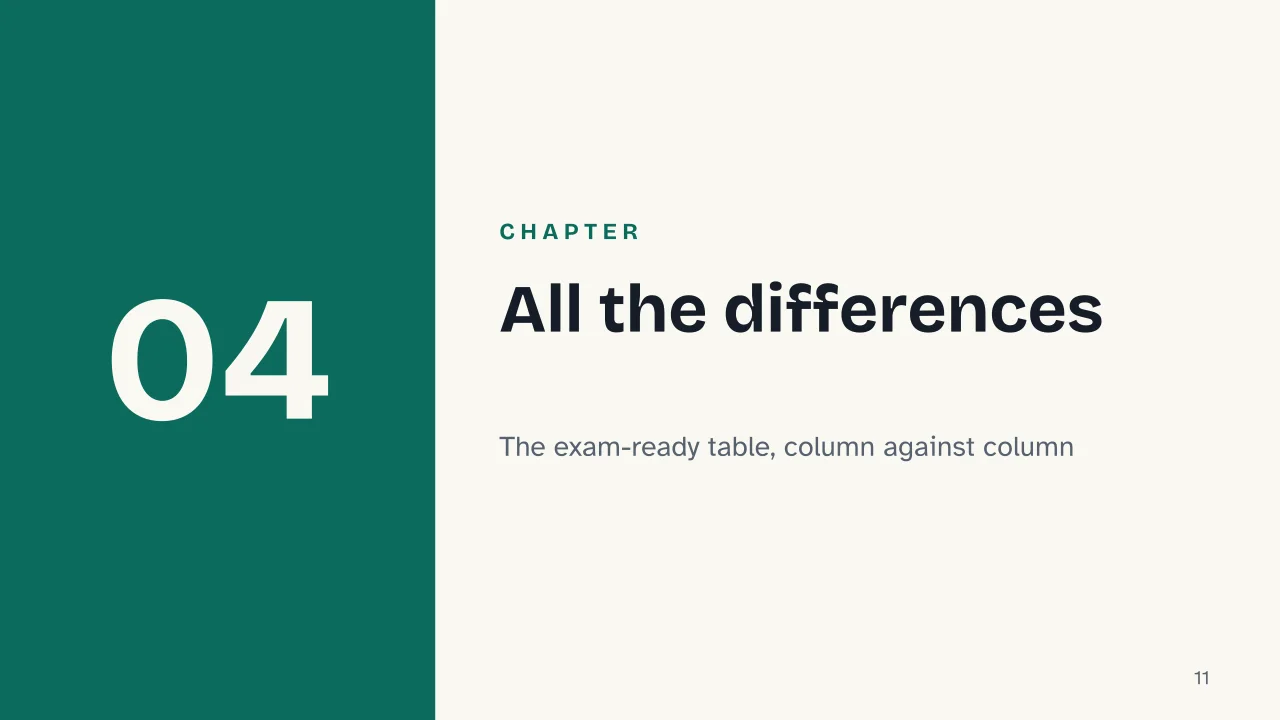 Slide 11 of the presentation on Mitosis vs Meiosis: Chapter 04: All the differences