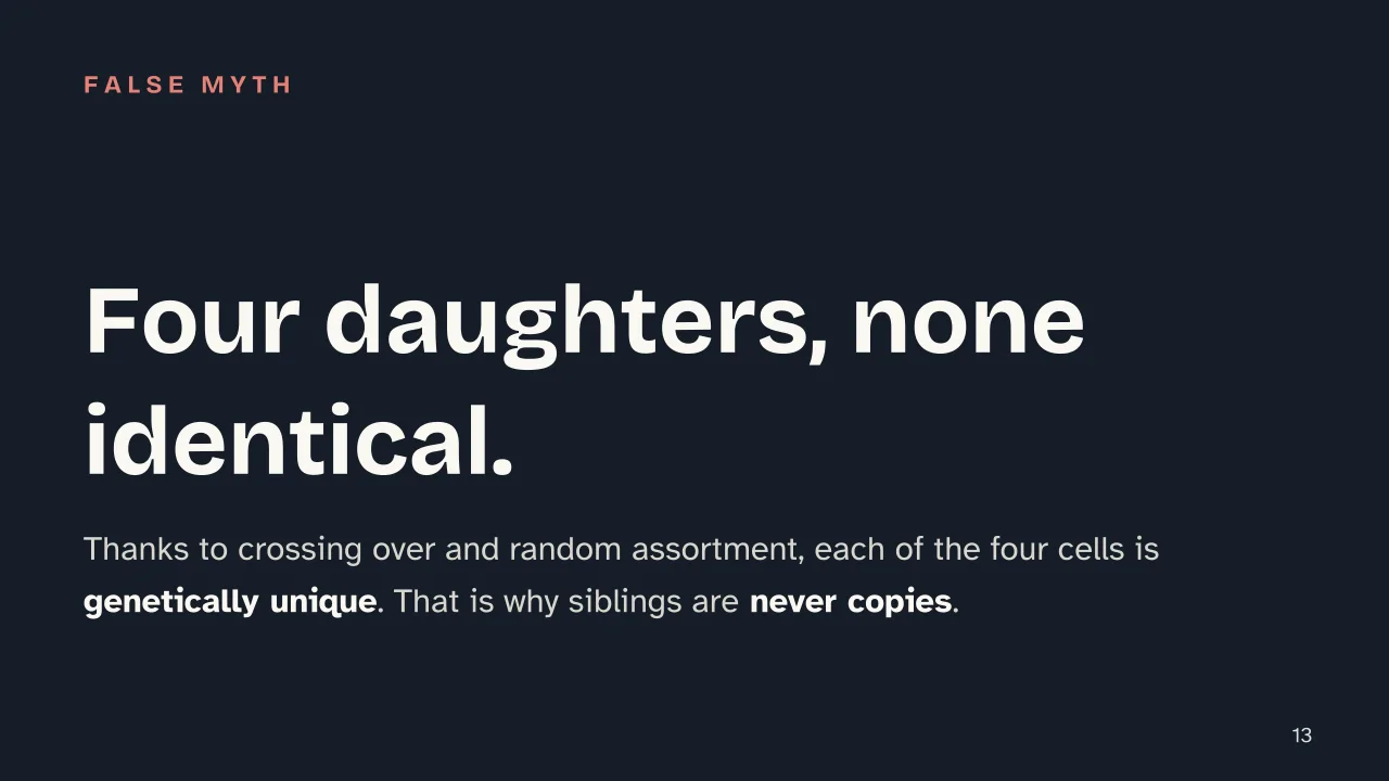 Slide 13 of the presentation on Mitosis vs Meiosis: Four daughters, none identical.