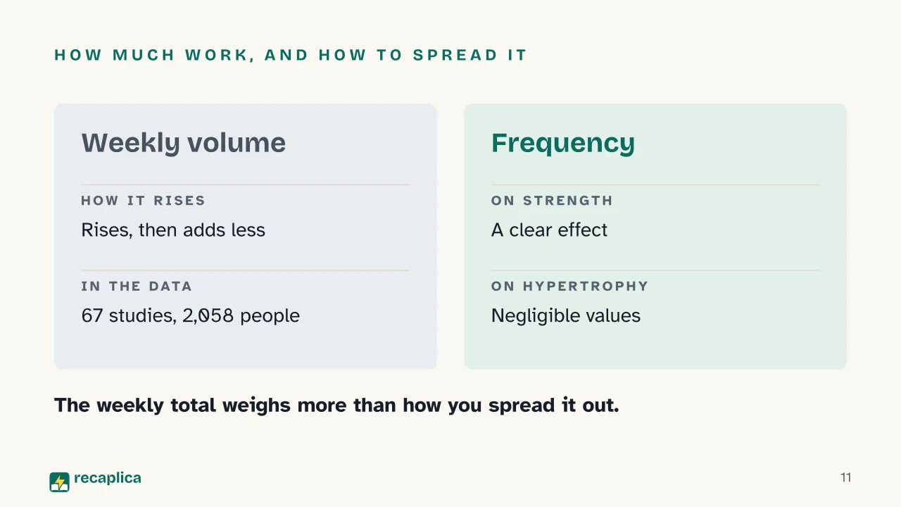 Slide 11 of the presentation on Muscle hypertrophy: How much work, and how to spread it