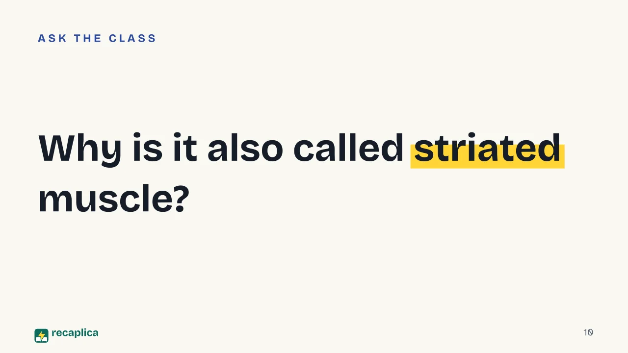 Slide 10 of the presentation on Muscular system: Why is it also called striated muscle?