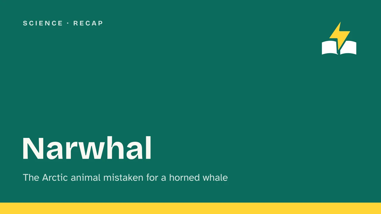 Slide 1 of the presentation on What Is a Narwhal? The Truth Behind the Arctic «Unicorn of the Sea»: Narwhal
