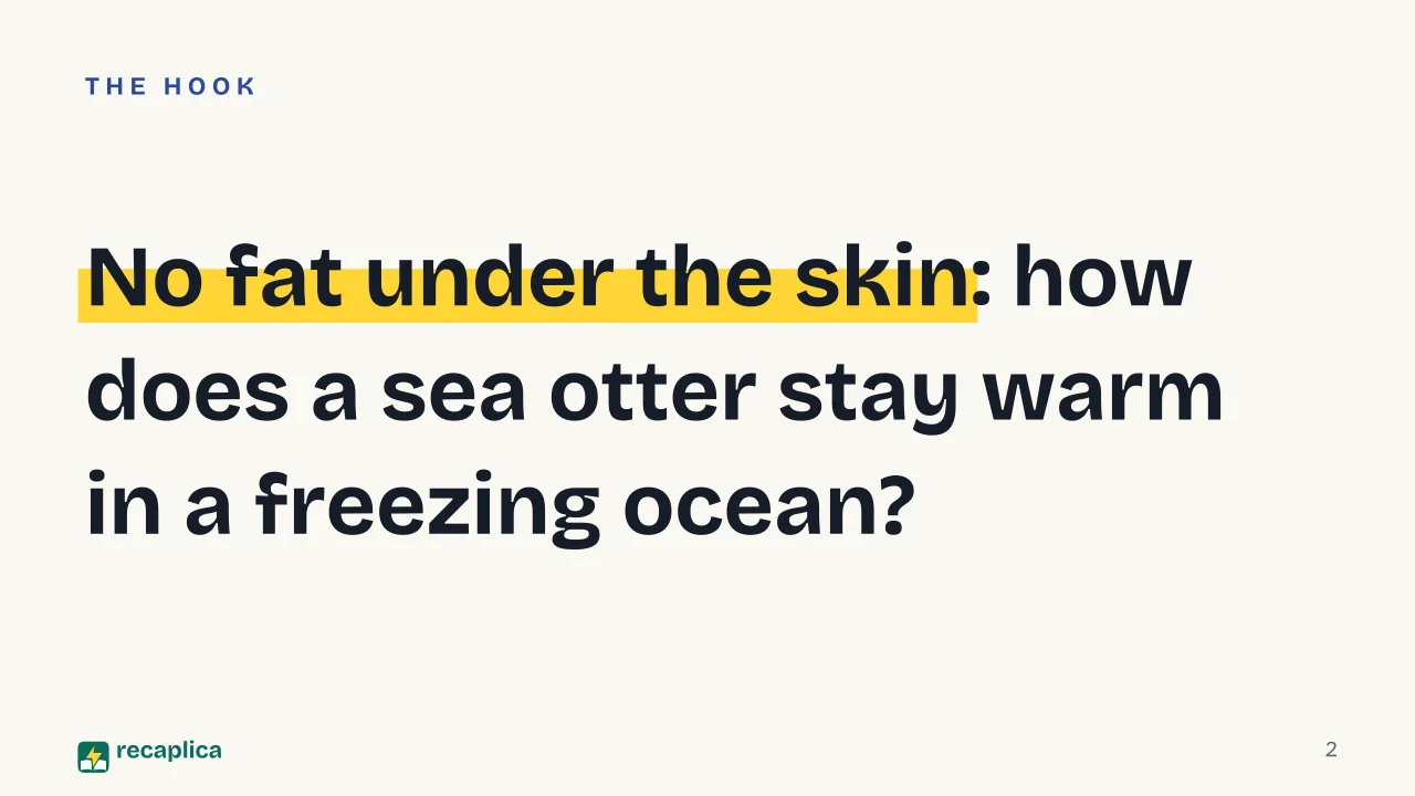 Slide 2 of the presentation on Otters: No fat under the skin: how does a sea otter stay warm in a freezing ocean?