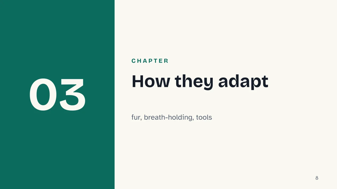 Slide 8 of the presentation on Otters: Chapter 03: How they adapt