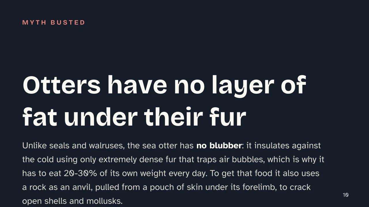 Slide 10 of the presentation on Otters: Otters have no layer of fat under their fur