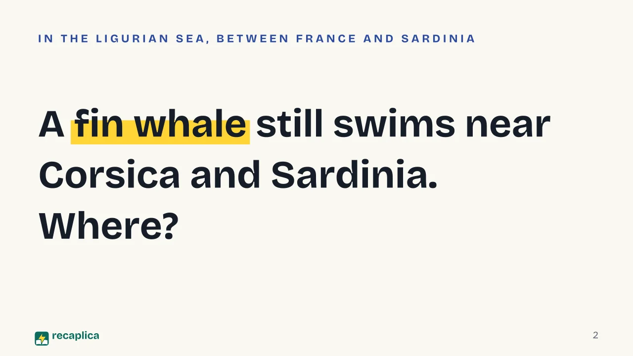 Slide 2 of the presentation on Pelagos Sanctuary: A fin whale still swims near Corsica and Sardinia. Where?