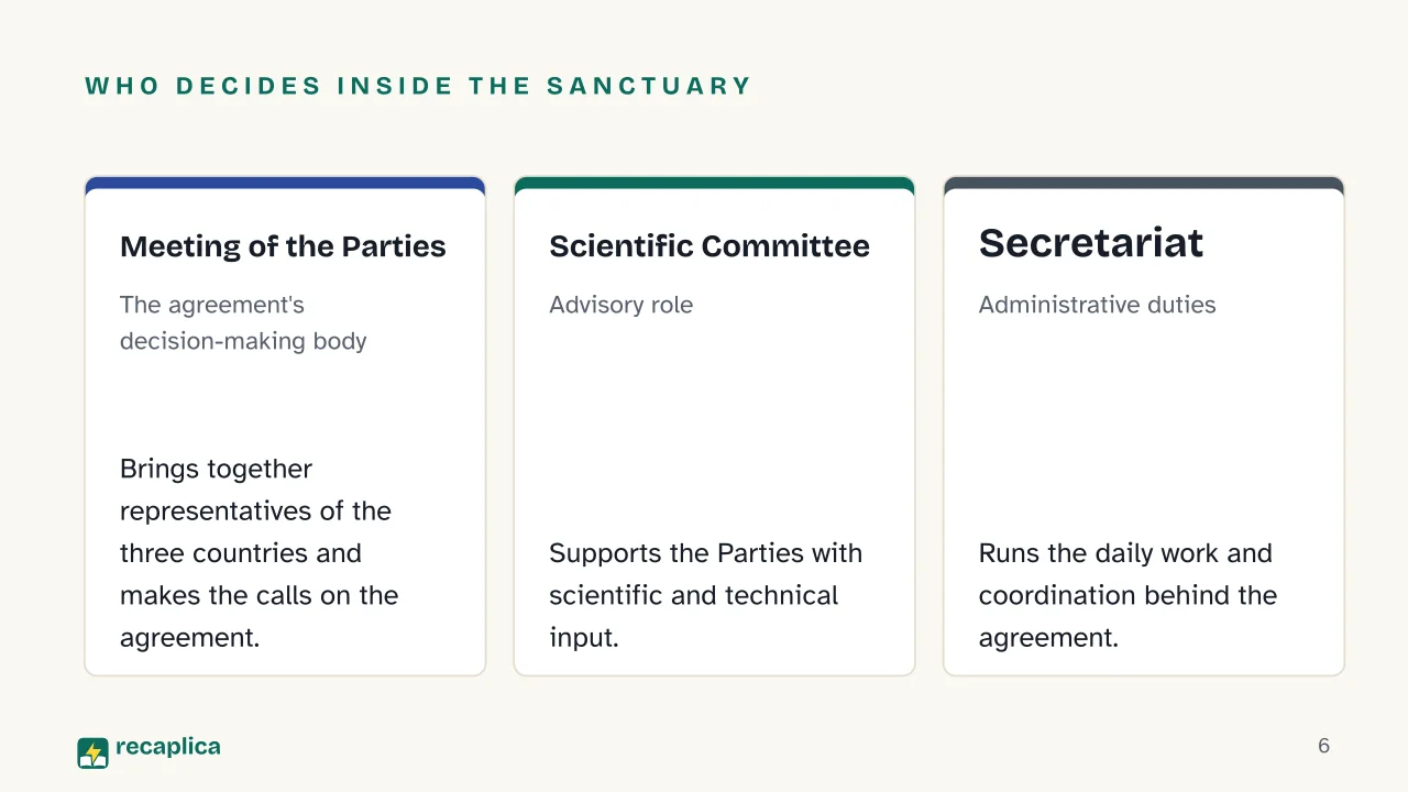 Slide 6 of the presentation on Pelagos Sanctuary: Who decides inside the sanctuary: Meeting of the Parties, Scientific Committee, Secretariat