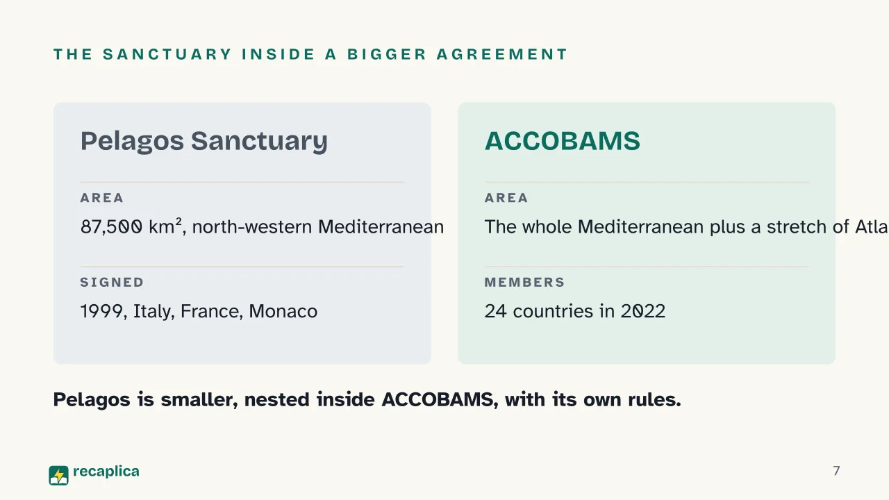 Slide 7 of the presentation on Pelagos Sanctuary: The sanctuary inside a bigger agreement
