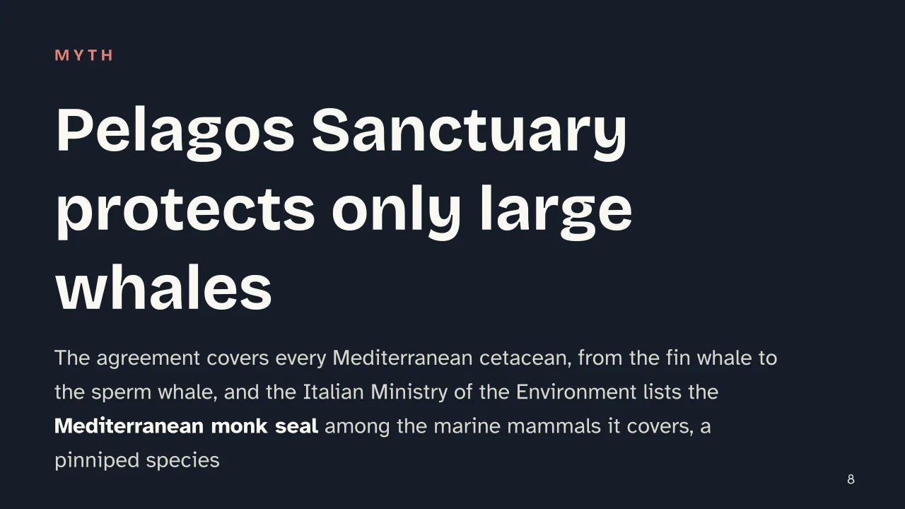 Slide 8 of the presentation on Pelagos Sanctuary: Pelagos Sanctuary protects only large whales