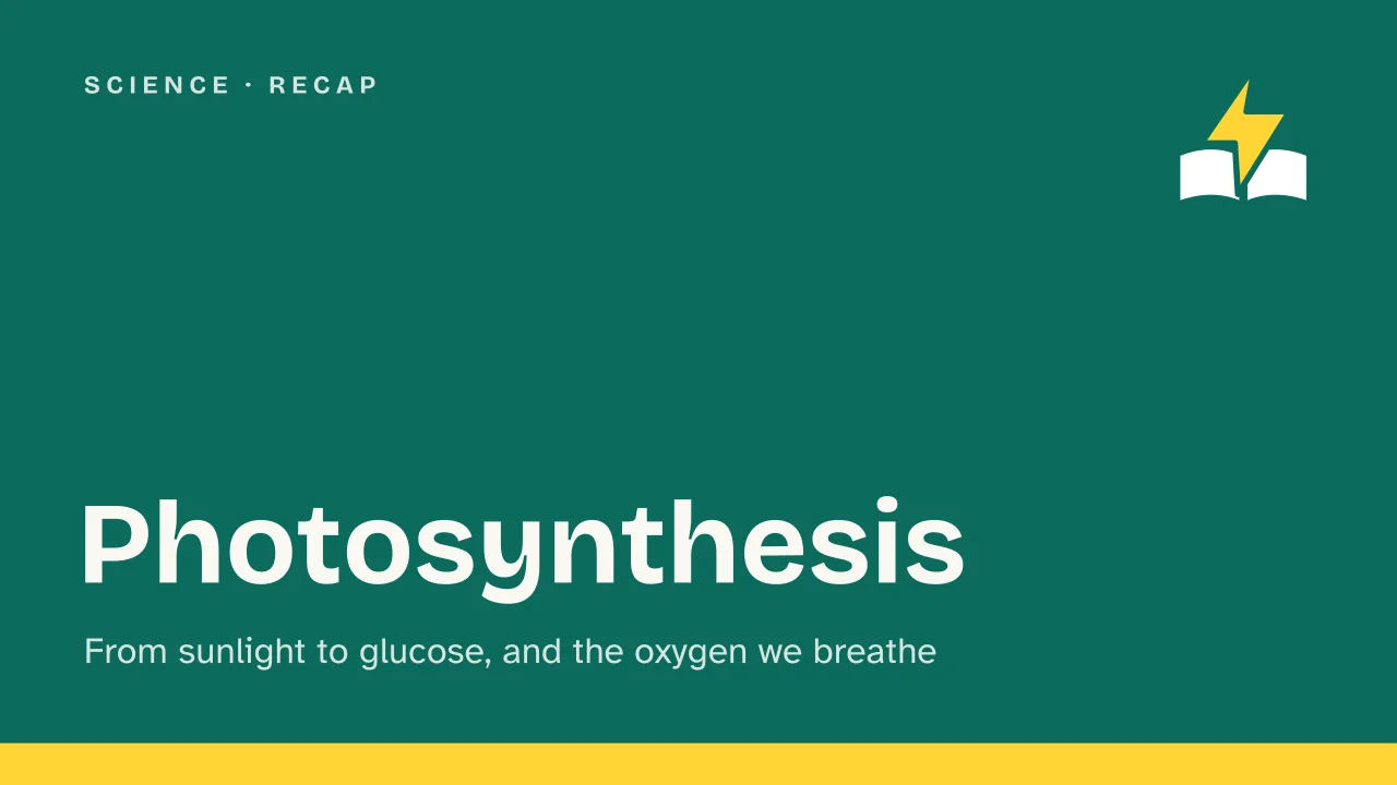 Slide 1 of the presentation on Photosynthesis: Photosynthesis