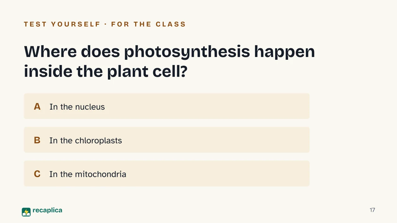 Slide 17 of the presentation on Photosynthesis: Where does photosynthesis happen inside the plant cell?