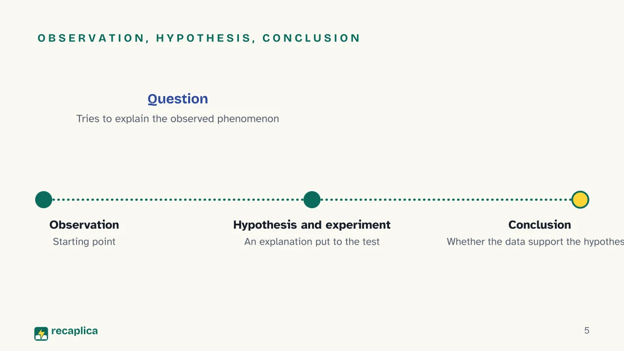 Slide 5 of the presentation on Scientific Method: Observation, hypothesis, conclusion
