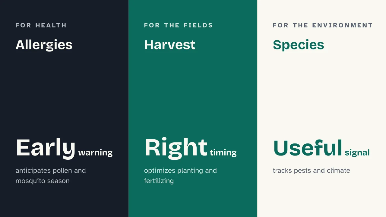 Slide 12 of the presentation on Spring: Allergies · Harvest · Species