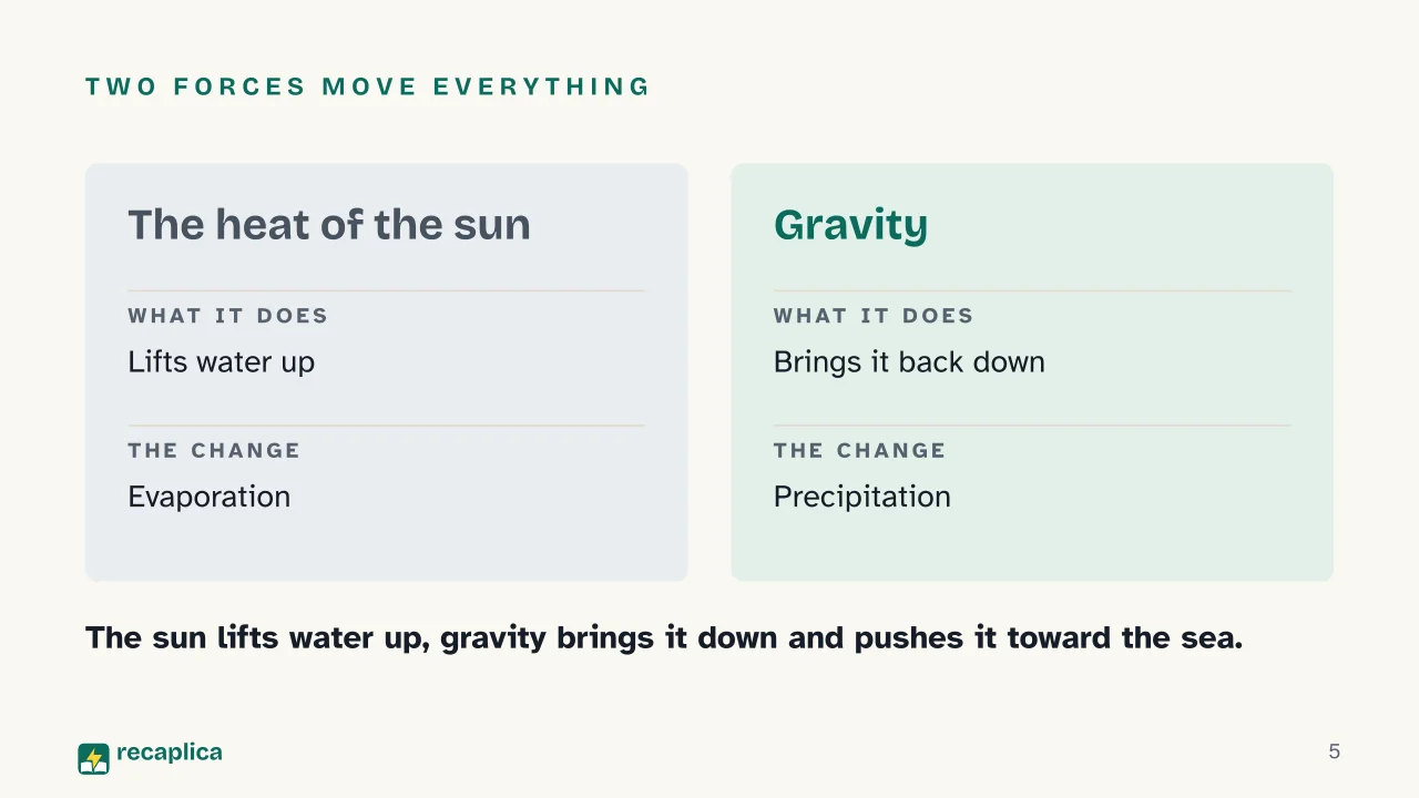Slide 5 of the presentation on The Water Cycle: Two forces move everything