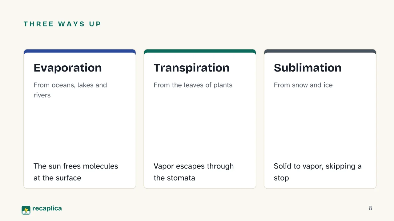 Slide 8 of the presentation on The Water Cycle: Three ways up: Evaporation, Transpiration, Sublimation