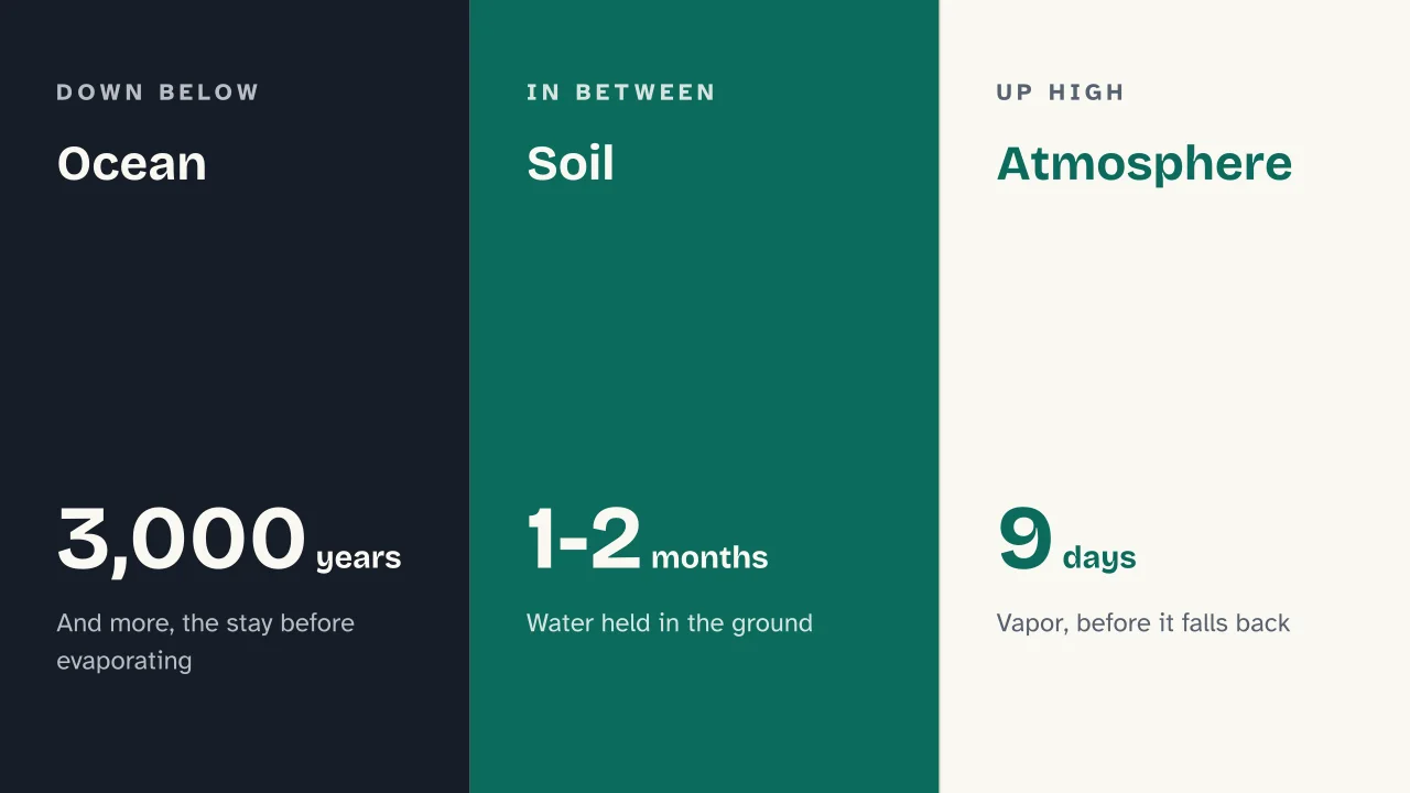 Slide 14 of the presentation on The Water Cycle: Ocean · Soil · Atmosphere