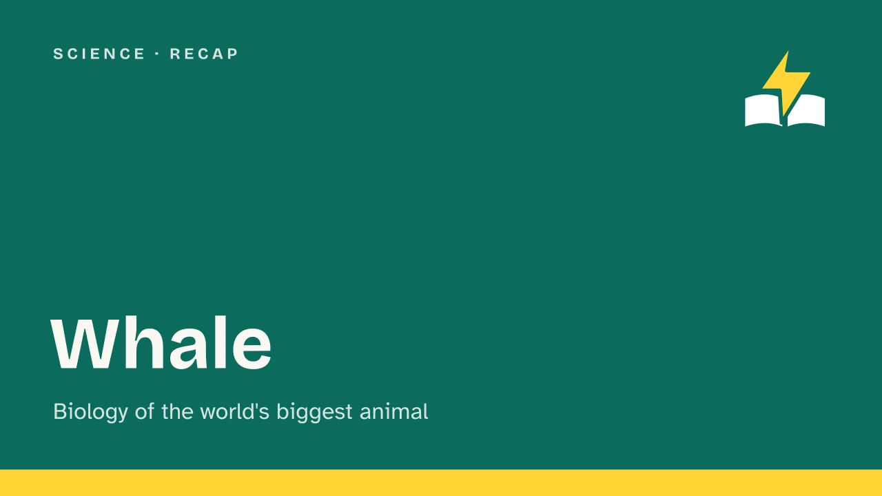 Slide 1 of the presentation on Whale: Whale