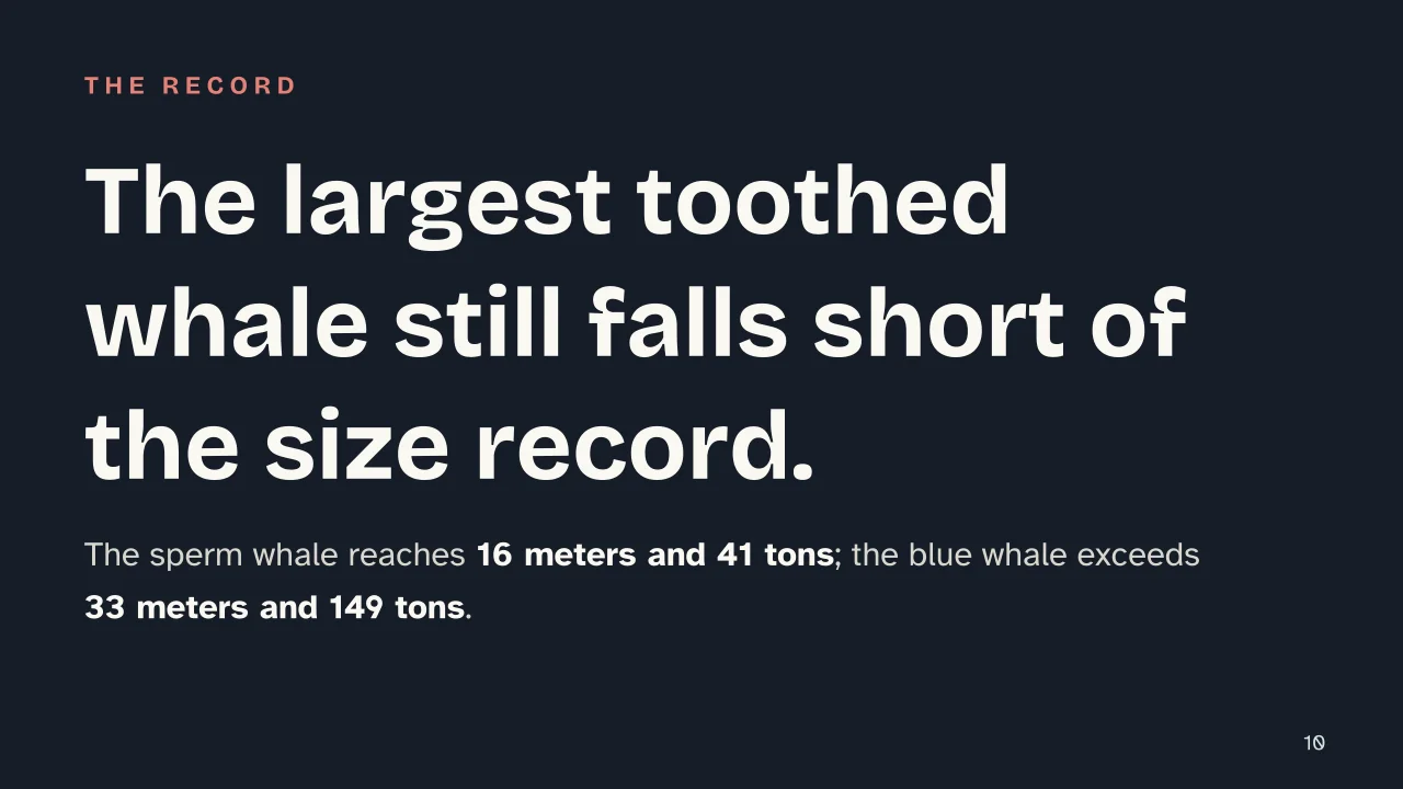 Slide 10 of the presentation on Whale: The largest toothed whale still falls short of the size record.