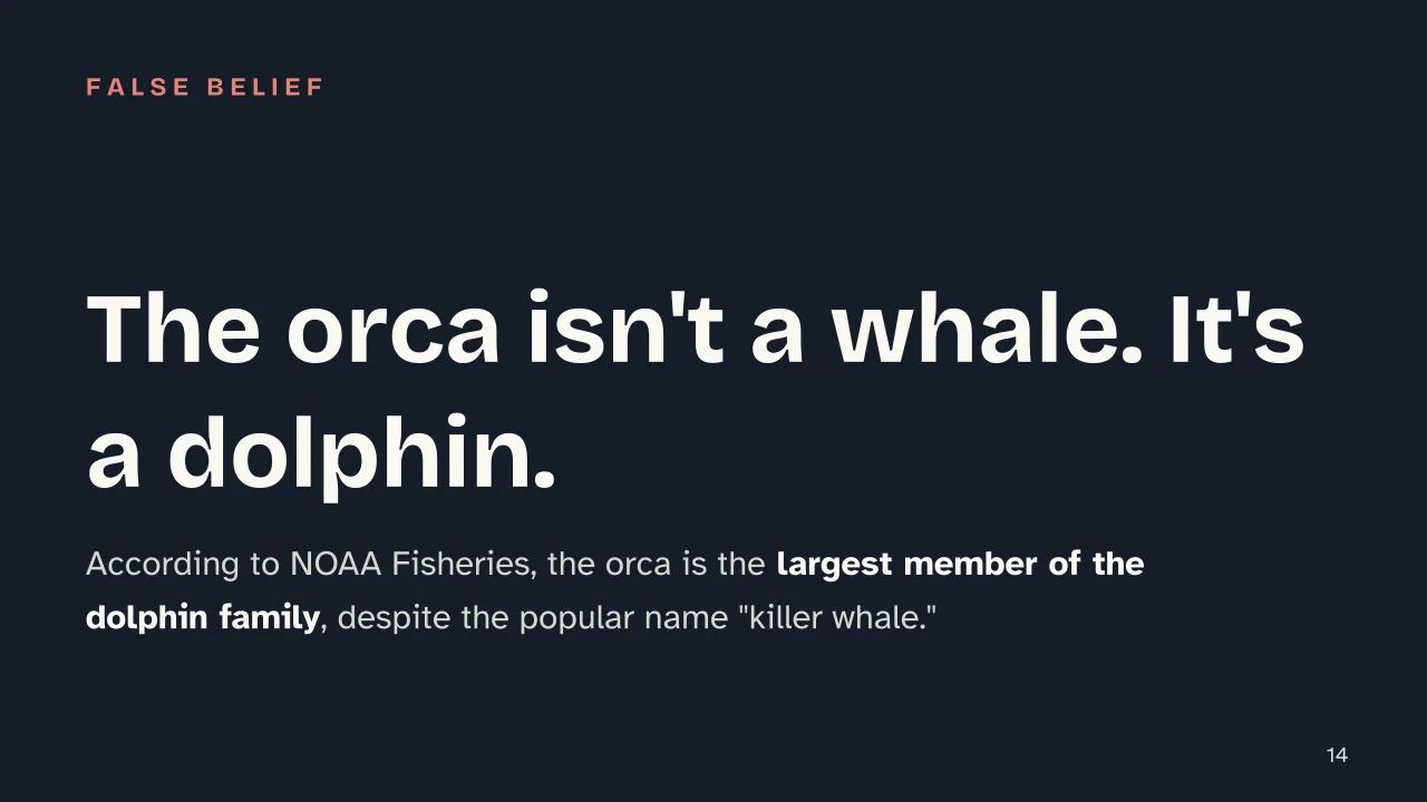 Slide 14 of the presentation on Whale: The orca isn't a whale. It's a dolphin.