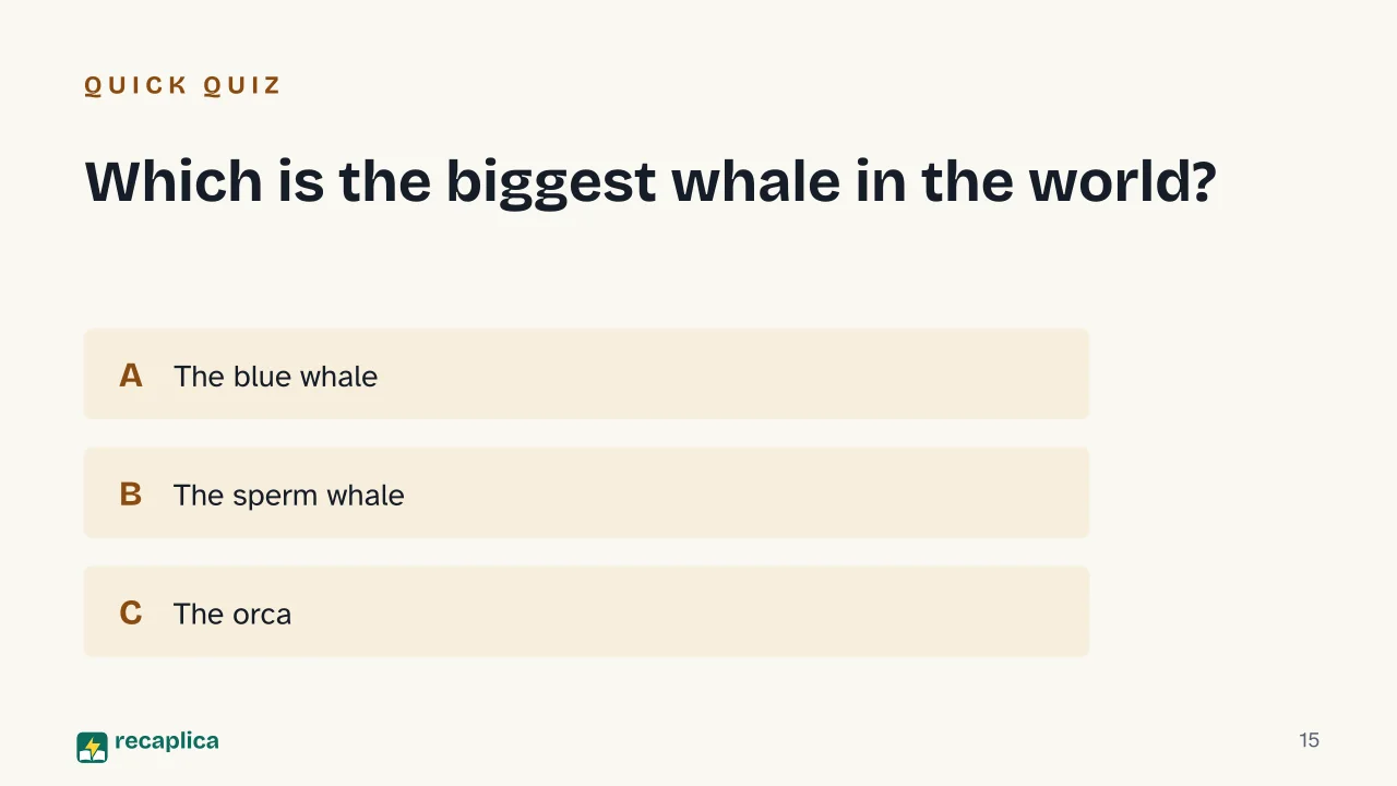 Slide 15 of the presentation on Whale: Which is the biggest whale in the world?