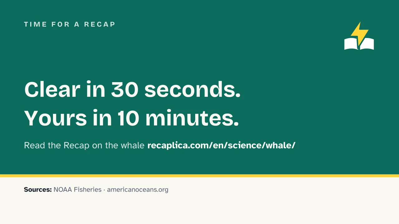Slide 16 of the presentation on Whale: Time for a recap