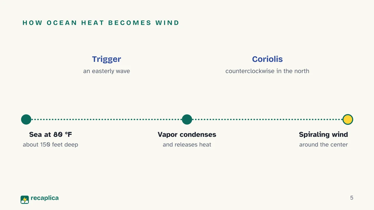 Slide 5 of the presentation on What Is a Hurricane? How It Forms and How It Differs from a Cyclone or Typhoon: How ocean heat becomes wind
