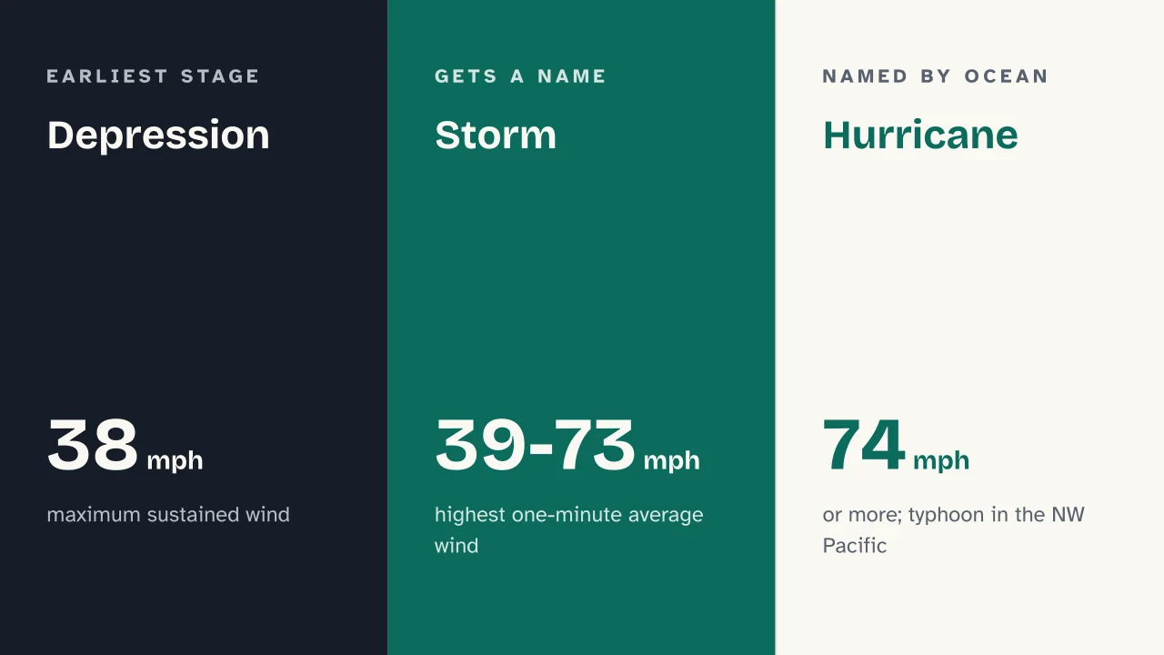 Slide 7 of the presentation on What Is a Hurricane? How It Forms and How It Differs from a Cyclone or Typhoon: Depression · Storm · Hurricane