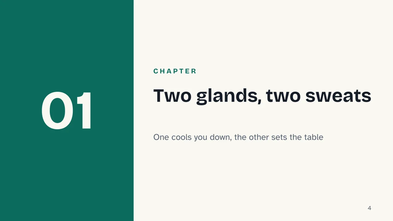 Slide 4 of the presentation on Why Does Sweat Smell? The Real Cause Isn't the Sweat: Chapter 01: Two glands, two sweats