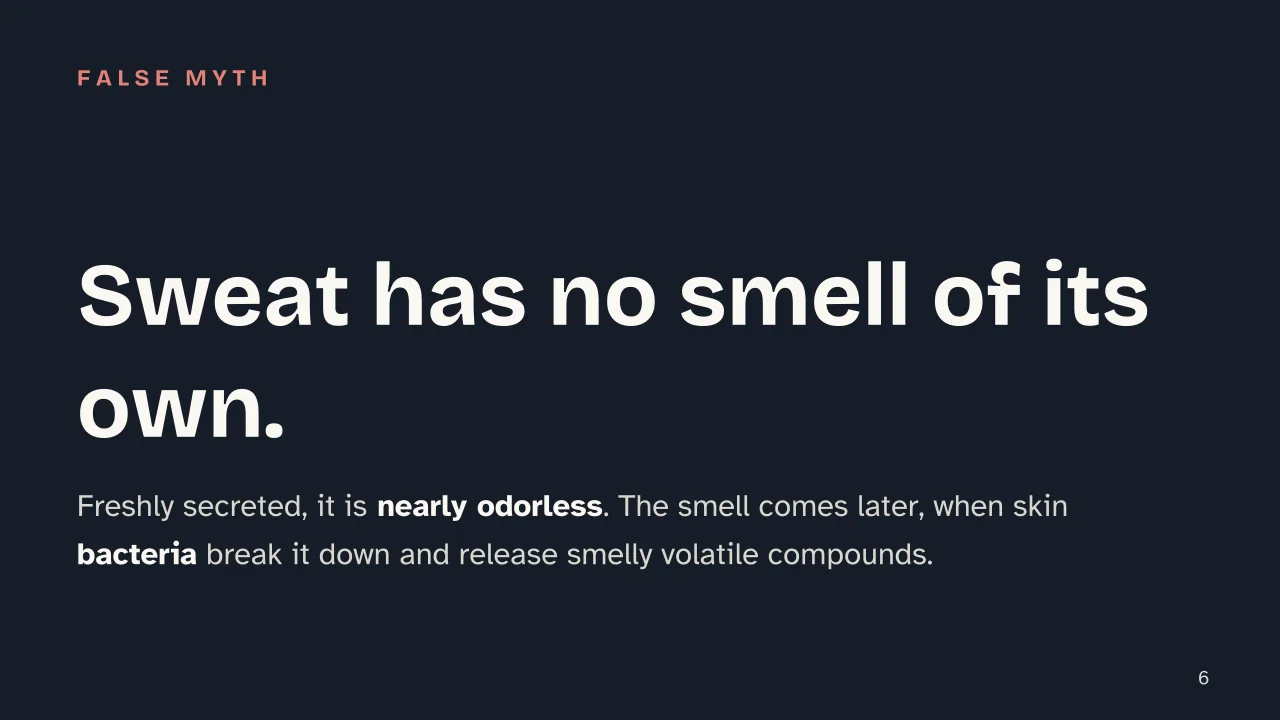 Slide 6 of the presentation on Why Does Sweat Smell? The Real Cause Isn't the Sweat: Sweat has no smell of its own.