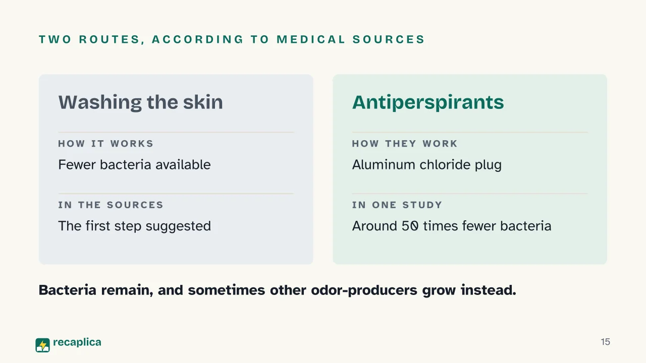 Slide 15 of the presentation on Why Does Sweat Smell? The Real Cause Isn't the Sweat: Two routes, according to medical sources